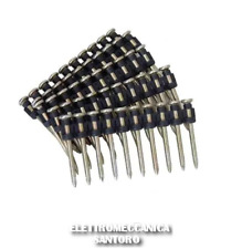 Clous En Béton Assemblés