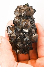 Amas de Quartz Fumé Echassieres en France mineraux collection  121g