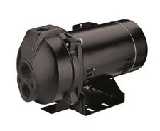 Flotec 1/2 HP 540 gph Cast