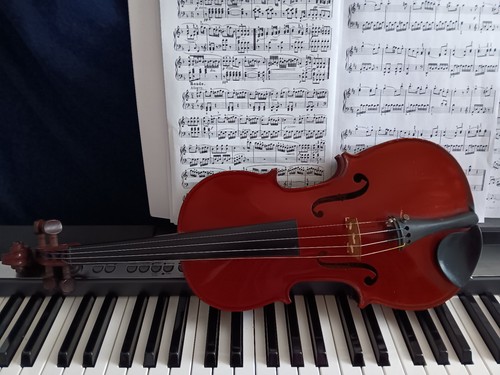 Old french violin jerome - french,