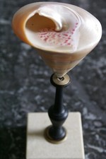 Coquillage nacre, déco