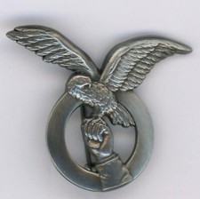 Base Aérienne 901 Drachenbronn Insigne Drago A 849