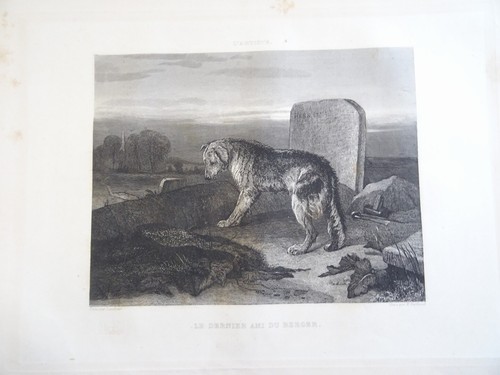 Landseer litho - landseer, (1802-1873)