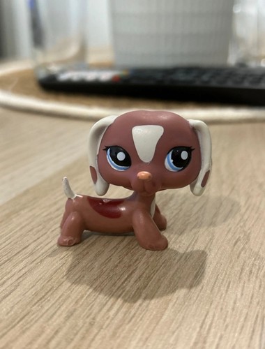 Littlest petshop 1631 - petshop, #1631