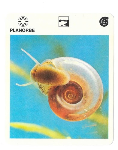 Fiche livre paris - livre, de
