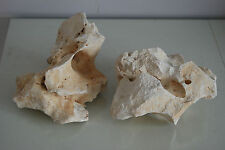 Aquarium Naturel Corail Cichlidés Rock 2 Pièces Pour Tout Utilisation BA13