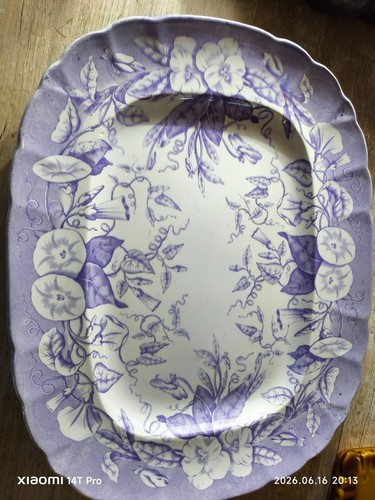 Plat jules vieillard - plat,