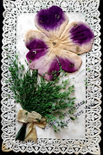 N°790/152  1 Carte Postale  Ancienne  Découpis  Dentelle Pensée en Tissu Ecrite