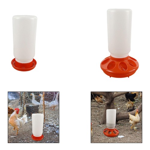 Mangeoire abreuvoir pour - mangeoire,