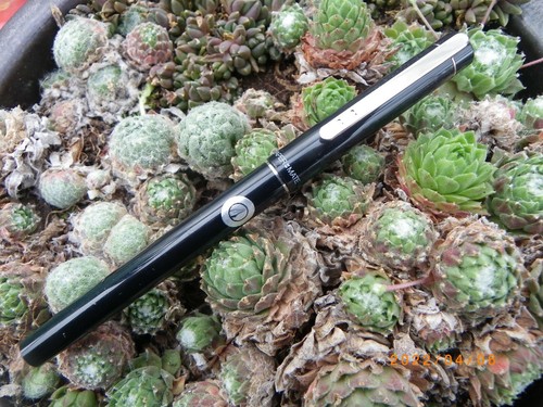 Stylo plume paper - paper, mate