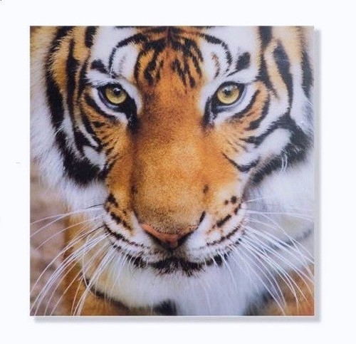Cadre toile tableau - , tigre