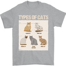Types chats persan - types, siamois