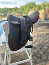 Antique Saddle Dressage 