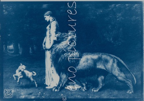 Cyanotype - (t08),