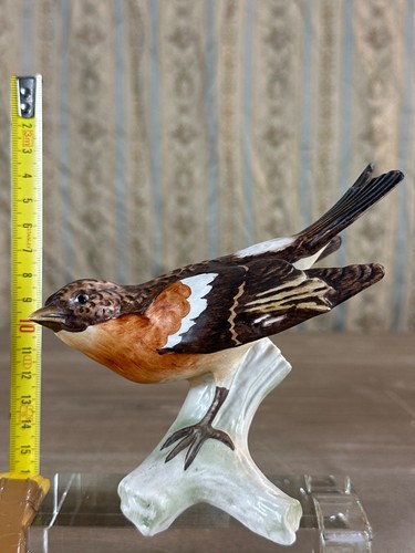 Ancienne porcelaine allemande - porcelaine,
