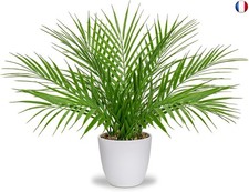 Oairse 40,6 cm - Palmier artificiel en pot - Décoration moderne - En plastique 