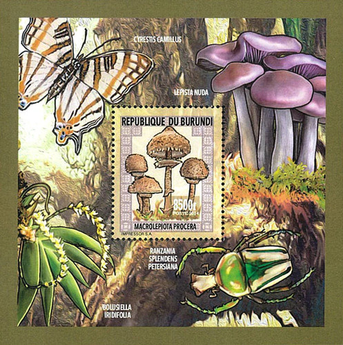Stamps burundi 2014 perf - burundi,