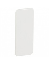 Plaque obturation pour Jupiter encastré droit 1 poste blanc LEGRAND 081073