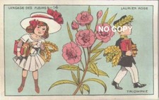 Chromo chocolat  L'UNION Lyon 69 - Langage des fleurs : LAURIER ROSE Triomphe