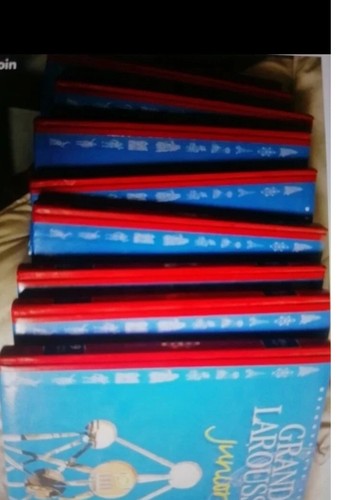 Lot larousse junior