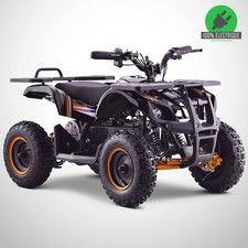 Pocket quad électrique BISON