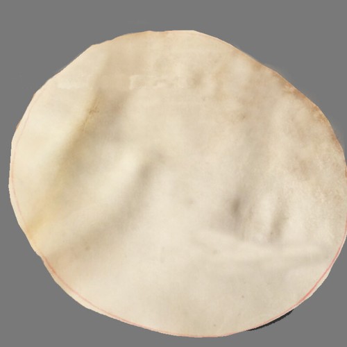 Chèvre peau djembe - 1x,