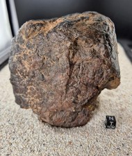 Meteorite NWA 17432 Chondrite