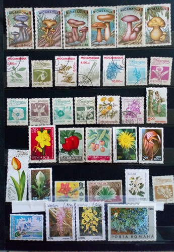 Lot vrac thème flore - :,