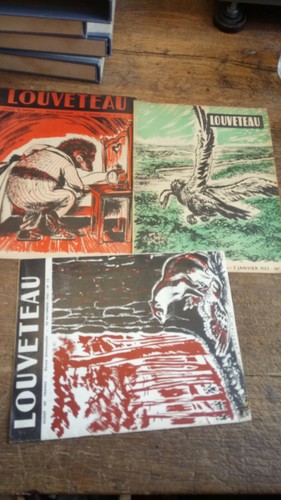 Lot revues louveteau - revues,