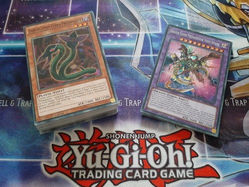 Deck prédaplante - yu-gi-oh!,