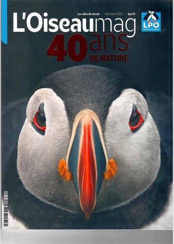 Oiseau mag rapaces de - mag,