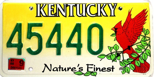 Kentucky rouge cardinal oiseau - kentucky,