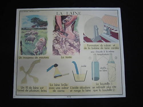 Dv1079 affiche ecole rossignol - affiche,