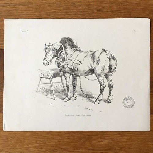 Gravure ancienne xixème - gravure,