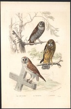 1853 Gravure aquarellée