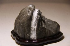 Suiseki Bonseki Bonsai