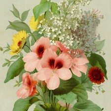 Décoration Emeric Bouvret