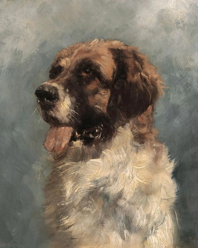 Vintage saint bernard dog - bernard,
