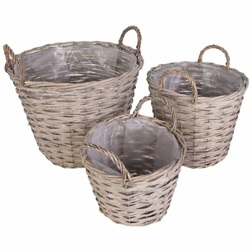 3er set weiden - 2x,