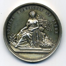 (3915) RARE Médaille Argent "