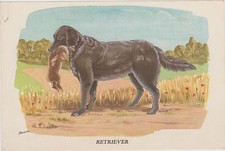 PUBLICITE PHARMACIE BIOLACTYL/