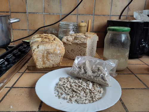 Levain chef bio 100g - levain,