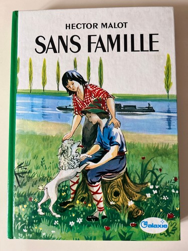 Hector malot sans famille - famille/, la