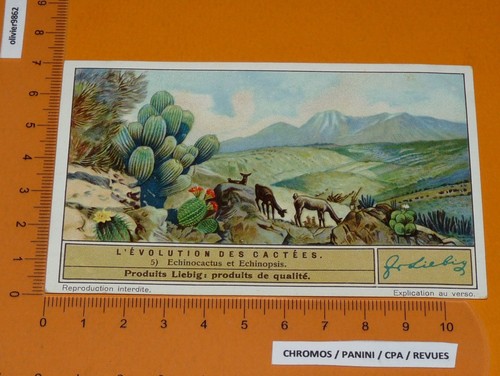 Chromo liebig 1935 1309 - liebig, s