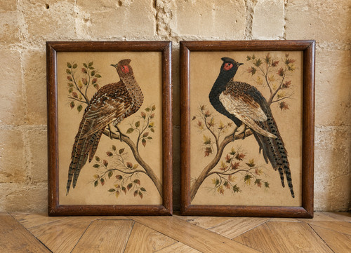 Paire tableaux naturalistes - paire,
