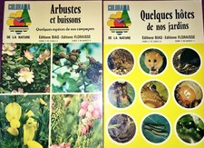 2 livres Colorama de la Nature