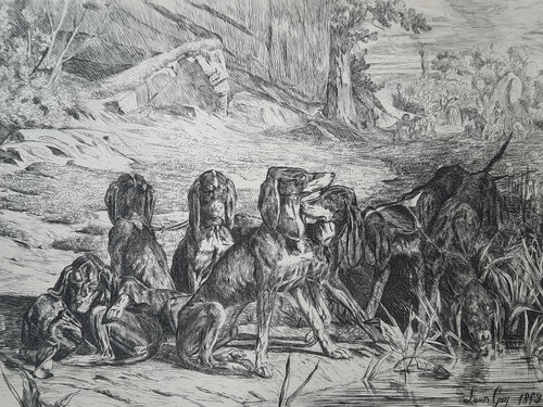 Louis guy gravure - louis, chiens