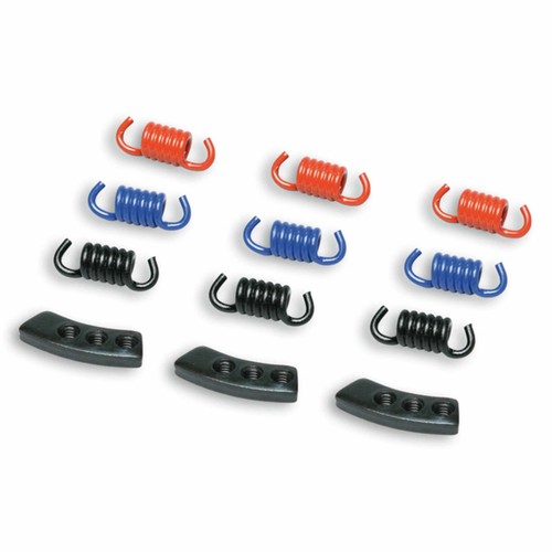 Malossi m298747 ressorts - malossi,