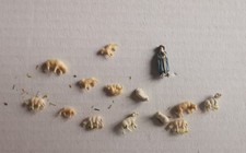 Berger Et Ses Moutons, Manque