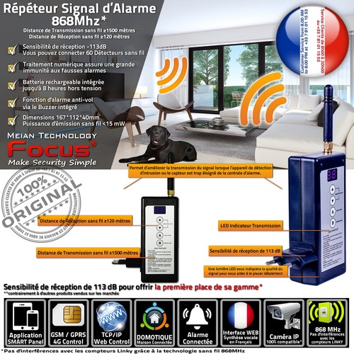 Amplificateur détecteur
